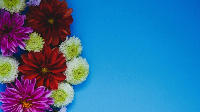 哈尔滨以其 哈尔滨以其