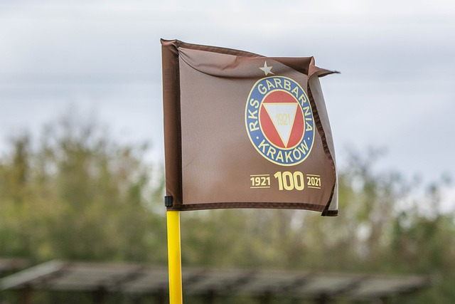 未来的比赛 未来的比赛