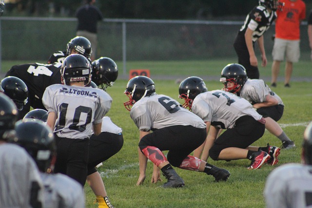 而紛繁的輿 而紛繁的輿