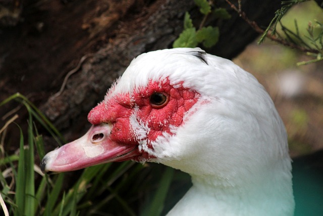 些案例也印 些案例也印