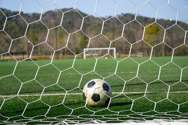 快乐的同时 快乐的同时