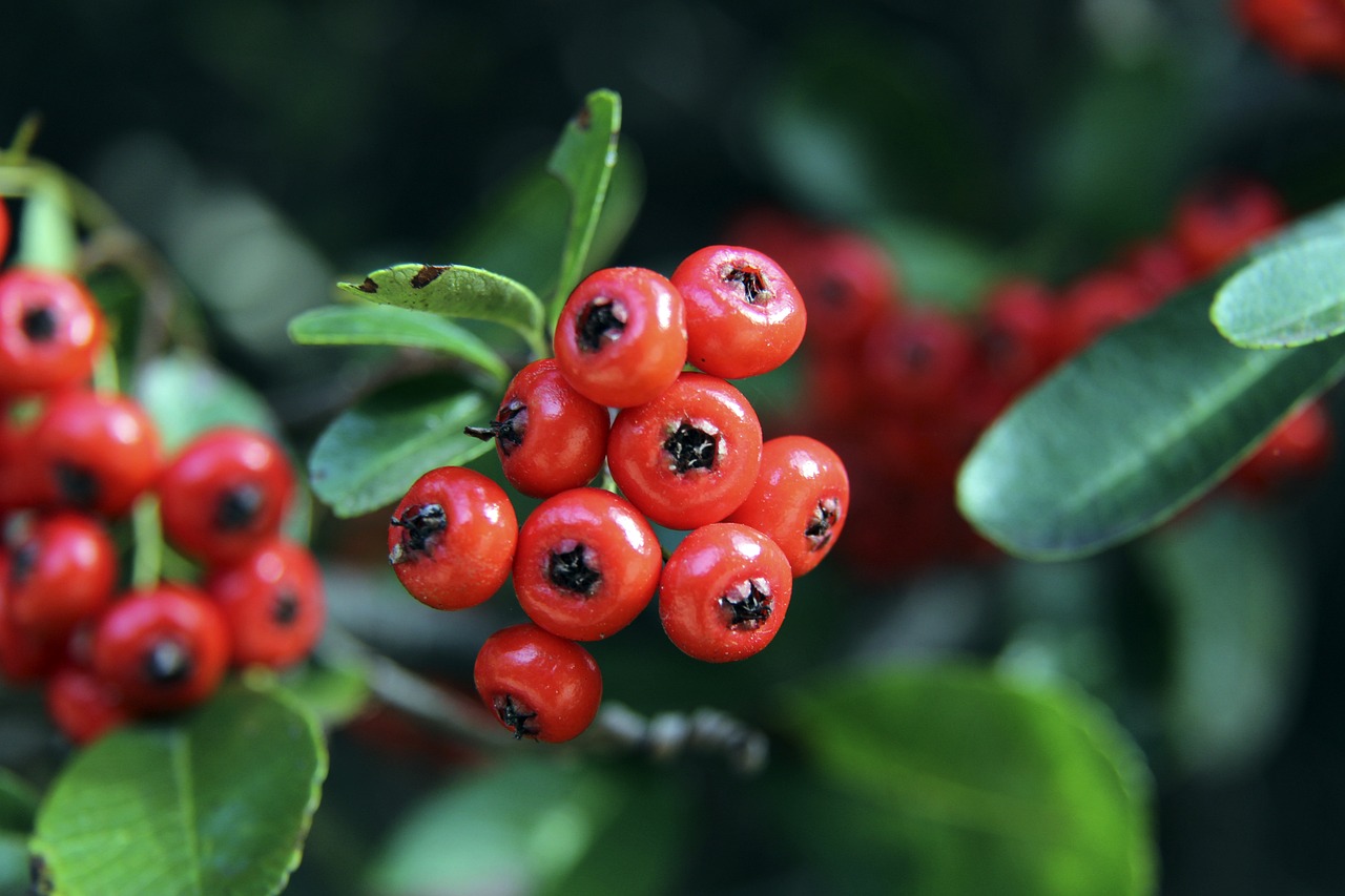 它不仅遏制 它不仅遏制